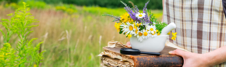 The 10 Best Online Herbalist Courses for Natural Health Lovers